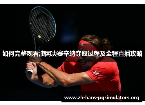 如何完整观看澳网决赛辛纳夺冠过程及全程直播攻略