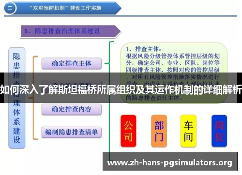 如何深入了解斯坦福桥所属组织及其运作机制的详细解析