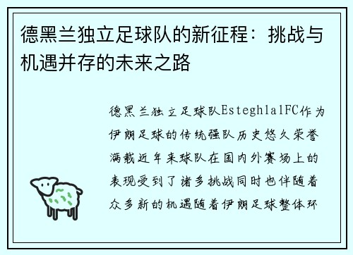 德黑兰独立足球队的新征程：挑战与机遇并存的未来之路